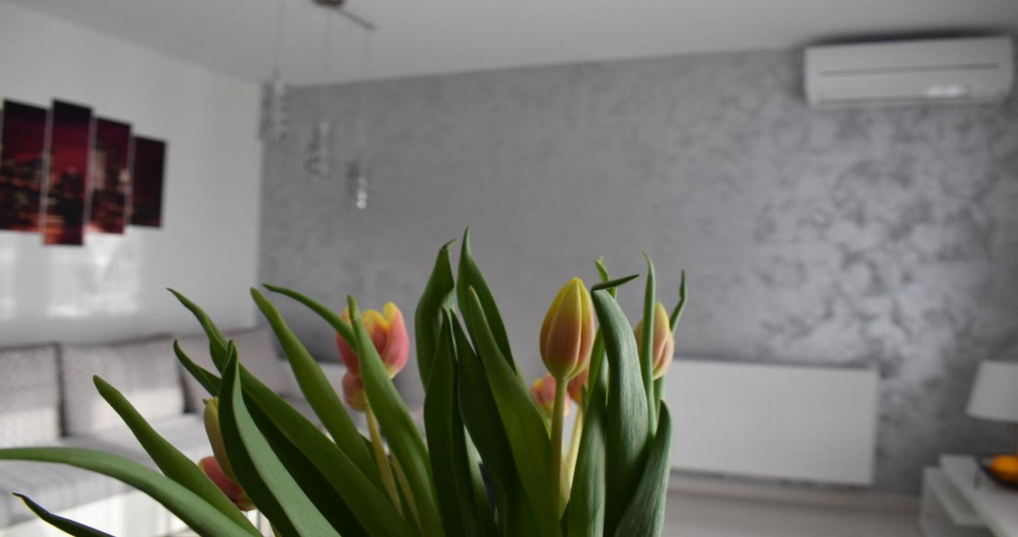 Apartmani Foresta Kras Dış mekan fotoğraf