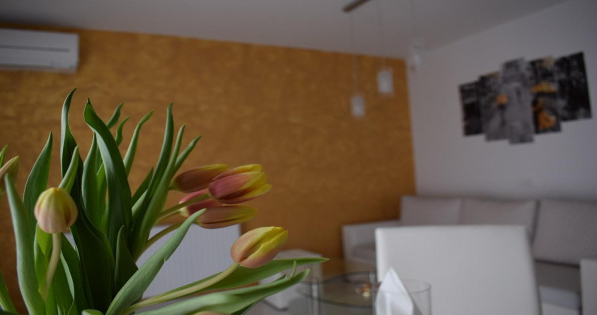 Apartmani Foresta Kras Dış mekan fotoğraf